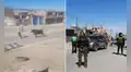 Toro escapa en Cerro Colorado y desata pánico entre vecinos: más de 10 policías participaron en su captura