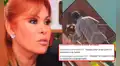 Magaly Medina recibe duras críticas tras informe de Jefferson Farfán sobre su presunto incumplimiento de servicio comunitario: "Anda a barrer, corrupta"