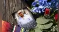 Sheinbaum anuncia acciones legales contra EE.UU. por la muerte de un mexicano durante un operativo de ICE