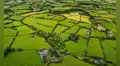 El hallazgo arqueológico de la Edad del Bronce que reescribe el origen urbano de Europa: surgió en Irlanda hace más de 3.000 años