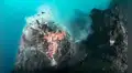 Científicos franceses observan en vivo cómo se divide la Tierra y una cantidad inimaginable de lava forma un nuevo fondo oceánico