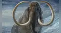 Científicos pensaron que eran huesos de mamut y los guardaron durante 70 años, pero resultaron ser de un animal muy diferente