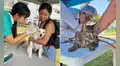 Campaña veterinaria gratuita este 16 de julio en Cercado de Lima: consulta el horario y los servicios para mascotas