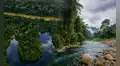 Este parque nacional protege más de 600 especies de aves y un ecosistema que no existe en otro lugar del Perú