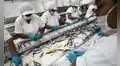PBI peruano desacelera a 1,8% en mayo tras desplome de la pesca y caída de la manufactura