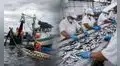 PBI peruano desacelera a 1,8% en mayo tras desplome de la pesca y caída de la manufactura