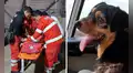 Bomberos dan último adiós a Carbón, perrito que acompañó sus labores por seis años: “Nos deja un gran vacío”