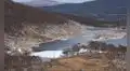 El experimento que salió mal en Argentina: liberaron este animal y ahora destruye los bosques milenarios de la Patagonia