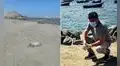 Pelícanos mueren en playas de Trujillo por falta de alimento y biólogo alerta riesgo sanitario