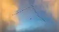 Revelan el secreto del vuelo en formación "V" de las aves: ahorran más energía con un simple truco en sus alas