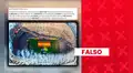 Es falso que la Federación Española de Fútbol expresara su malestar por los fuegos artificiales de la celebración del Mundial