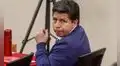 ONU recuerda al Estado peruano informar sobre garantías para brindar un juicio justo a Pedro Castillo