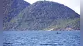 Científicos exploran uno de los lagos más profundos de África y descubren una criatura que sobrevive donde escasea el oxígeno