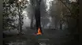 Diversos incendios forestales golpean España, Francia y Portugal en medio de temperaturas que podrían alcanzar los 40 °C