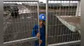 Cuba abre al sector privado gasolineras, farmacias y otras áreas estratégicas tras aprobar paquete de reformas