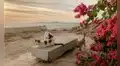 Llevaron cinco gatos a una isla para acabar con una plaga de ratones, pero provocaron la muerte de aves nativas por más de 70 años