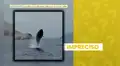 Video de ballena captada en el mar del Callao no es reciente: circula en redes sociales desde julio de 2025