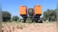 El país europeo que apuesta por un láser con inteligencia artificial para reemplazar los pesticidas en sus cultivos