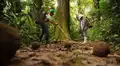 El experimento que salió mal en Argentina: liberaron este animal y ahora destruye los bosques milenarios de la Patagonia