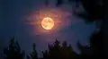 Calendario lunar agosto 2026: cuando ver la próxima luna llena y las fases lunares