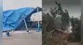 Vientos Paracas derriban techos, árboles y paneles en Pisco: ráfagas de 42 km/h causan graves daños