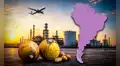 Una fruta podría convertirse en combustible para aviones: este país de América Latina invertirá US$3.000 millones en el plan