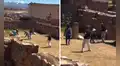 Cusco: grupo de turistas fue captado jugando fulbito con niños en el parque arqueológico de Chinchero