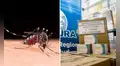 Minsa refuerza vacunación contra el dengue con casi 200.000 dosis enviadas a siete regiones del Perú