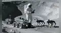 Científicos espaciales proponen usar perros robots para proteger la estación de investigación lunar de China