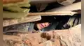 “Estamos muy cerca de rescatarla”: así fue el dramático operativo para salvar a Diana tras terremoto en Cali