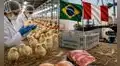 Perú aumenta a más del doble sus compras de genética avícola de Brasil y apunta a mayores importaciones de cerdo