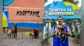 ¿Quieres adoptar un perro o gato rescatado? MML ofrece mascotas en adopción tras salvarlas del comercio ilegal en el Cercado: conoce los requisitos