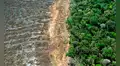 Brasil recibiría un mayor impacto de El Niño tras perder una vegetación dos veces mayor que toda Francia, según estudio