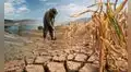 Déficit hídrico amenaza al agro: 607 distritos de 16 regiones quedan bajo estado de emergencia
