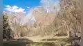Reportan incendio forestal en Yauyos y vecinos alertan falta de acciones para controlarlo
