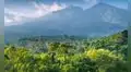 La nueva capital que se construye desde cero en la selva: costará 33.000 millones y tendrá espacio para 1,9 millones de personas
