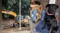 Denuncian demolición de refugio para perros abandonados en la Universidad Nacional Agraria La Molina