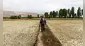 El Niño 2026-2027: sequía en la sierra podría alcanzar niveles similares a los de 1982-83