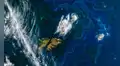 La NASA afirma que El Niño está alterando la vida marina: detectan disminución del fitoplancton en el Pacífico