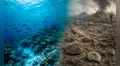 Los océanos en la mira de científicos: revelan patrones similares con los de la mayor extinción de la Tierra hace 252 millones de años