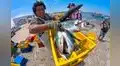El Niño 2026: Urgen blindar la biodiversidad marina, la pesca y el turismo en el Perú