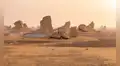 Un desierto de tiburones fue descubierto en el desierto de Egipto con 7 especies diferentes