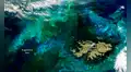 El Atlántico cambia de color cerca de las Malvinas: la NASA explica el fenómeno detrás de los enormes remolinos turquesa