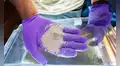 Unas bacterias modificadas genéticamente ofrecen una nueva forma de acelerar la meteorización de las rocas para eliminar el CO₂