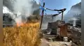 Emergencia en Arequipa: vientos intensos avivan incendio forestal cerca de complejo arqueológico en el Valle del Colc