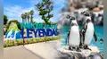 Parque de las Leyendas ofrecerá 50% de descuento en sus entradas para estas fechas de setiembre