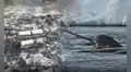 Científicos rastrearon con sensores a 6 “unicornios del mar” por 3 años: lo hallado bajo el hielo del Ártico enciende las alarmas