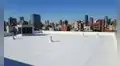 Una pintura blanca podría ser una solución contra el calor extremo: el experimento de EE. UU. que redujo la temperatura y ahorró energía