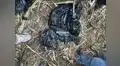 Este es el fusil R-15 empleado en el cuádruple asesinato de Trujillo