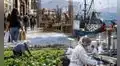 Economía peruana creció 3,56% en julio, pero pesca, agro e industria frenaron un mayor avance